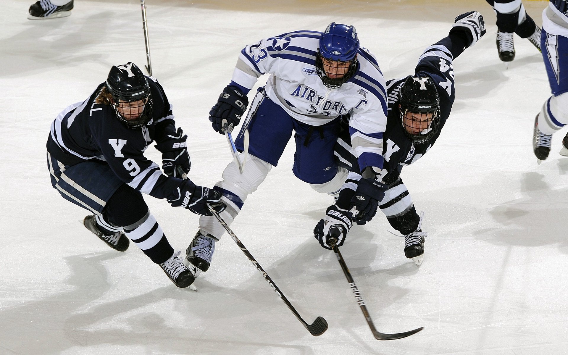 赛事资料库:历史上的经典冠军战役,历史总冠军